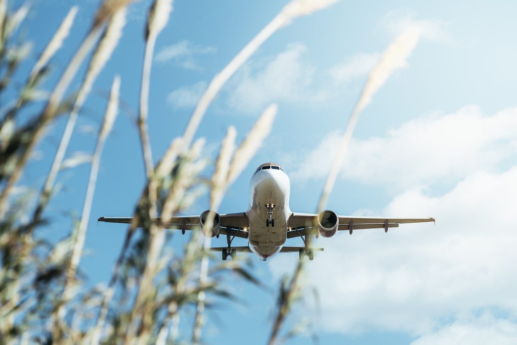 commercial aircraft flying low with some plants out of focus in the foreground