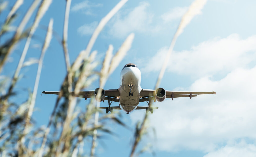commercial aircraft flying low with some plants out of focus in the foreground